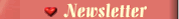 Assine nossa Newsletter